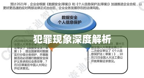 一般累犯，犯罪现象深度解析及应对策略  第1张