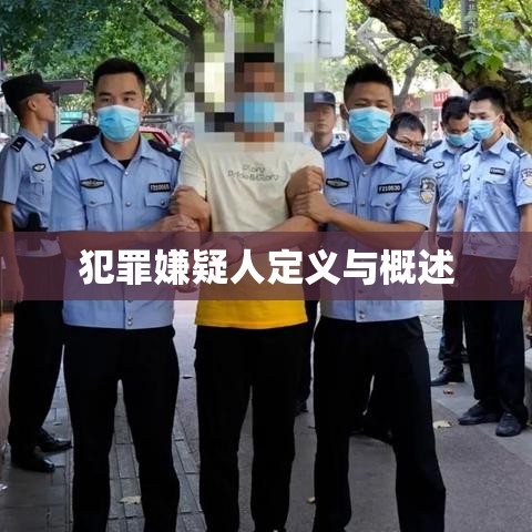 犯罪嫌疑人定义与概述  第1张