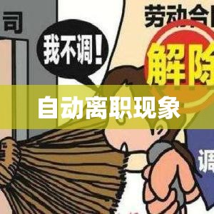 自动离职现象深度解析，原因、影响及应对策略探究  第1张