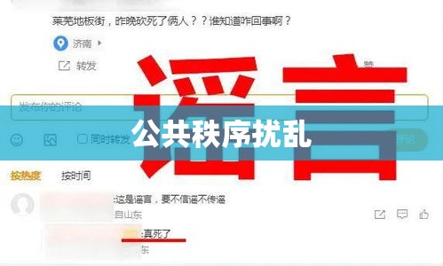 扰乱公共秩序，社会和谐之隐患的警示钟  第1张