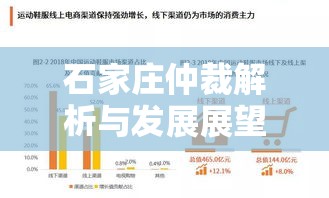 石家庄仲裁解析与发展展望，未来趋势探讨  第1张