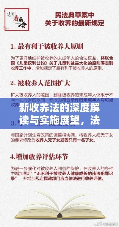 新收养法的深度解读与实施展望，法律变革与未来趋势探讨  第1张