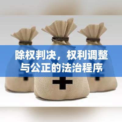 除权判决，权利调整与公正的法治程序实现  第1张