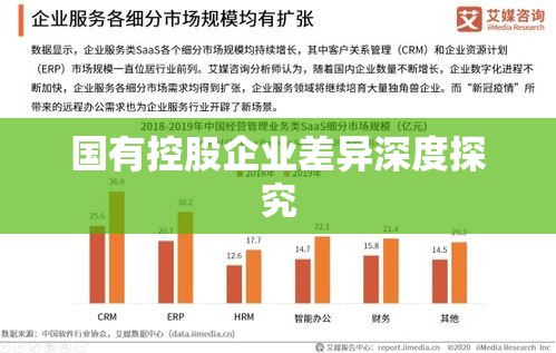 国有独资与国有控股企业差异深度探究  第1张