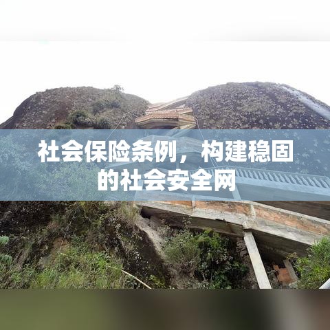 社会保险条例，构建稳固的社会安全网  第1张