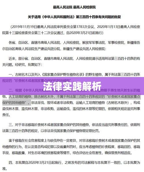 缓刑的条件与法律实践解析  第1张