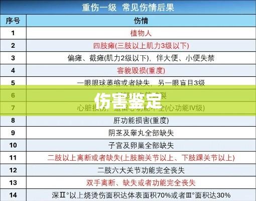 伤害鉴定的多维度解析与探讨  第1张