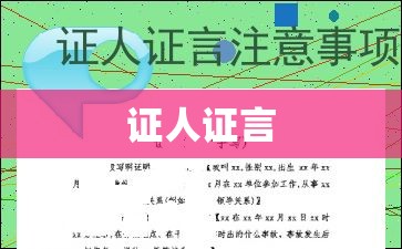 证人证言，揭示真相的重要一环  第1张