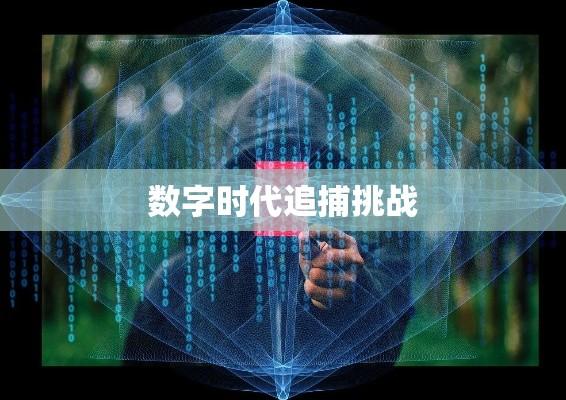 数字时代的追捕挑战，网络通缉揭秘  第1张