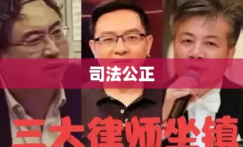 疑罪从无，司法公正的核心原则  第1张