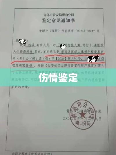 伤情鉴定，揭开真相的面纱  第1张