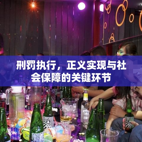 汽车杀人案，悲剧背后的反思与启示  第1张