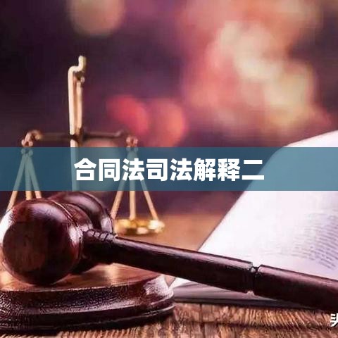 合同法司法解释二解读与应用指南  第1张