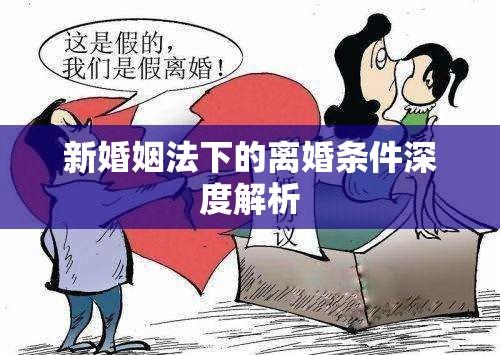 新婚姻法下的离婚条件深度解析  第1张