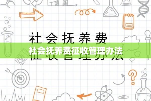 社会抚养费征收管理办法，解析与完善建议探讨  第1张