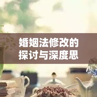 婚姻法修改的探讨与深度思考  第1张