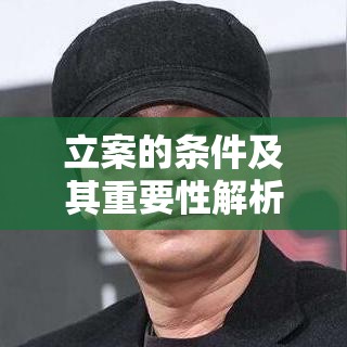 立案的条件及其重要性解析  第1张