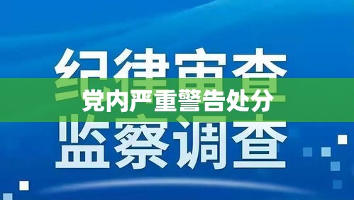 党内严重警告处分的深远影响及其意义探究  第1张