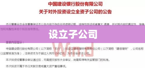 如何设立子公司，策略、步骤及关键要素详解  第1张