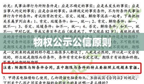 物权公示公信原则，法律实践与制度的完善探究  第1张