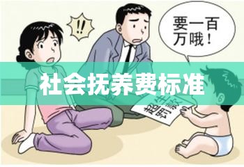 社会抚养费标准，深入分析与反思  第1张