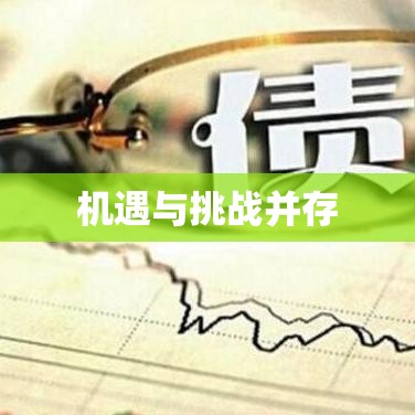 民间放贷，机遇与挑战的并存状态  第1张