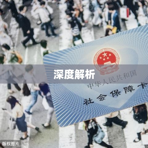 深度解析，代交社保公司的合法性探讨  第1张