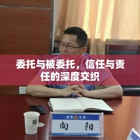 委托与被委托，信任与责任的深度交织  第1张