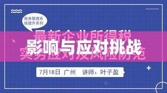 外资企业所得税法，影响与应对挑战  第1张