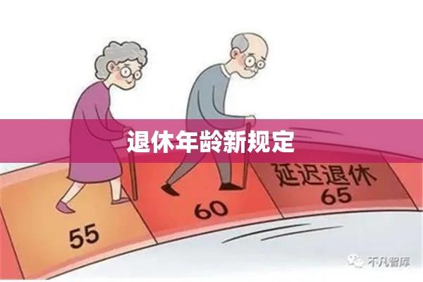 退休年龄新规定研究，以2013年改革为视角的探讨  第1张