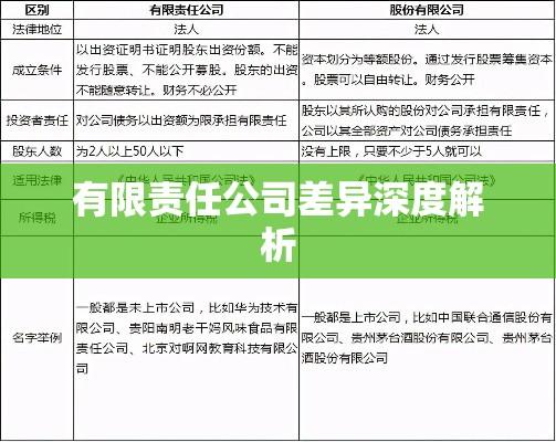 有限公司与有限责任公司差异深度解析  第1张