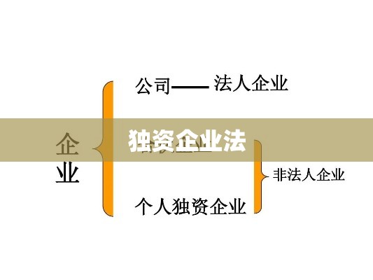 独资企业法，构建法律框架促进企业发展壮大  第1张