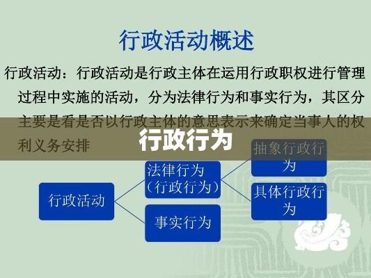 行政行为概念解析  第1张