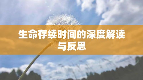 死刑立即执行后的生命存续时间，深度解读与反思  第1张