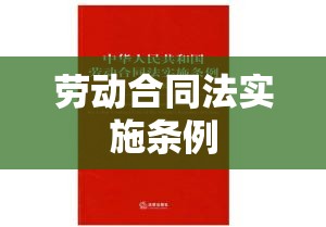 劳动合同法实施条例，保障劳动者权益，构建和谐劳资关系，促进企业与员工共同发展  第1张