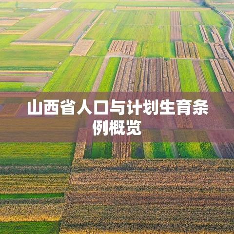 山西省人口与计划生育条例概览  第1张