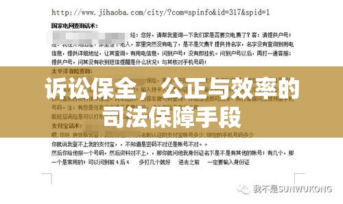 诉讼保全，公正与效率的司法保障手段  第1张