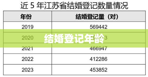 婚姻登记制度下的结婚登记年龄研究  第1张