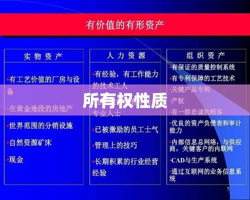 所有权性质，企业资产核心要素深度解析  第1张