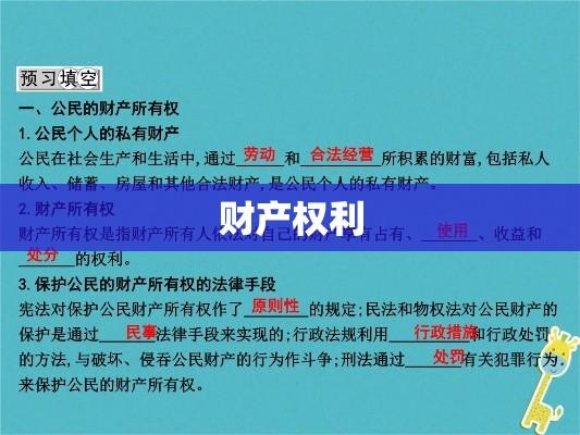 财产权利，理解其重要性及内涵深度解析  第1张