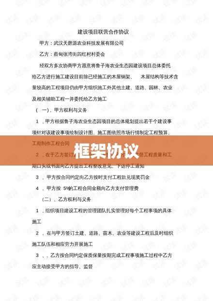 以下是一个可能的标题，，XX项目合作框架协议  第1张