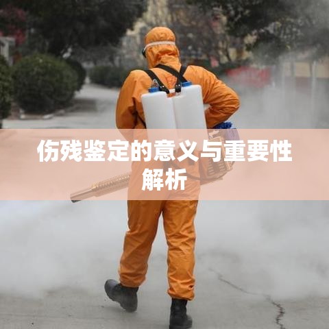 伤残鉴定的意义与重要性解析  第1张