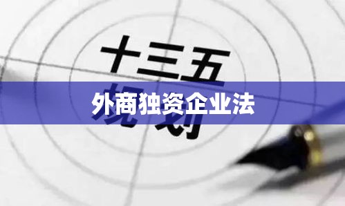 外商独资企业法在中国的实践与深远影响  第1张