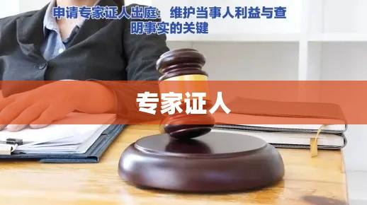 专家证人在法律与社会中的角色举足轻重  第1张