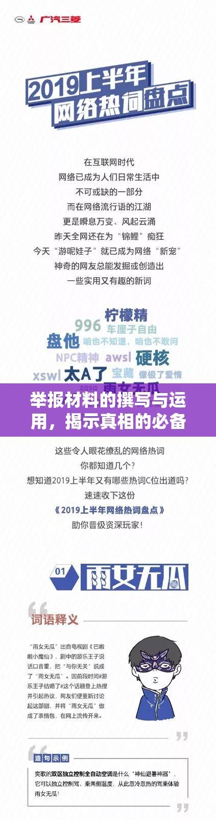 举报材料的撰写与运用，揭示真相的必备指南  第1张