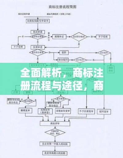 全面解析，商标注册流程与途径，商标注册去哪里办理？  第1张