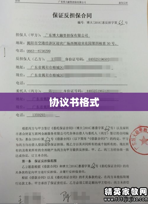 全面解析协议书格式及其实际应用指南  第1张