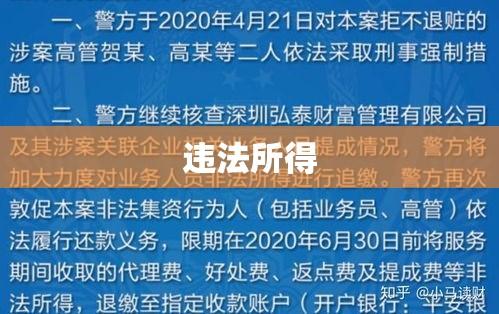 违法所得，法律与道德的交汇点  第1张