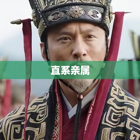 直系亲属，血缘纽带中的核心联系解析  第1张