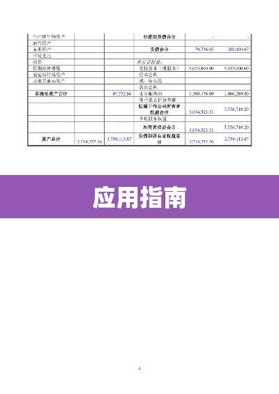 企业清算报告范本详解与应用指南  第1张